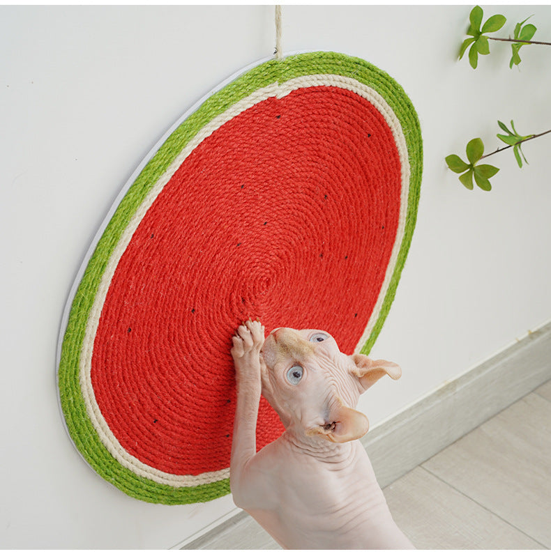 Sphynx cat using a watermelon-shaped cat scratching mat on a wall