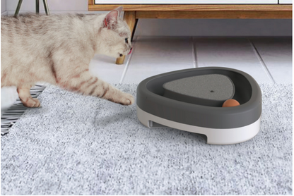 Cat playing with an interactive automatic cat toy