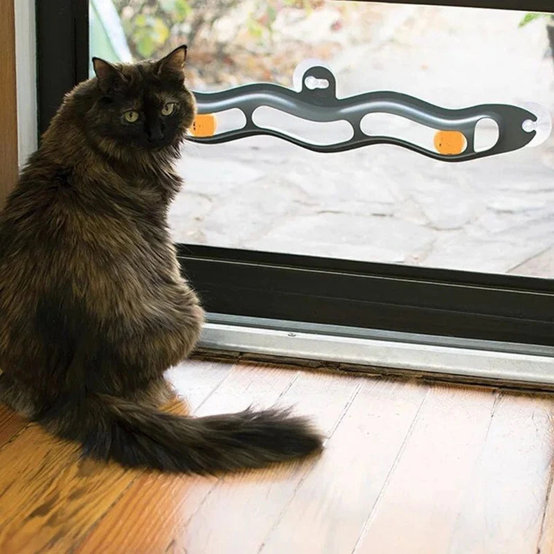 Cat beside a windowsill cat track ball toy