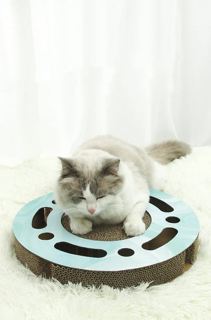 Cat resting on a round cat scratching board