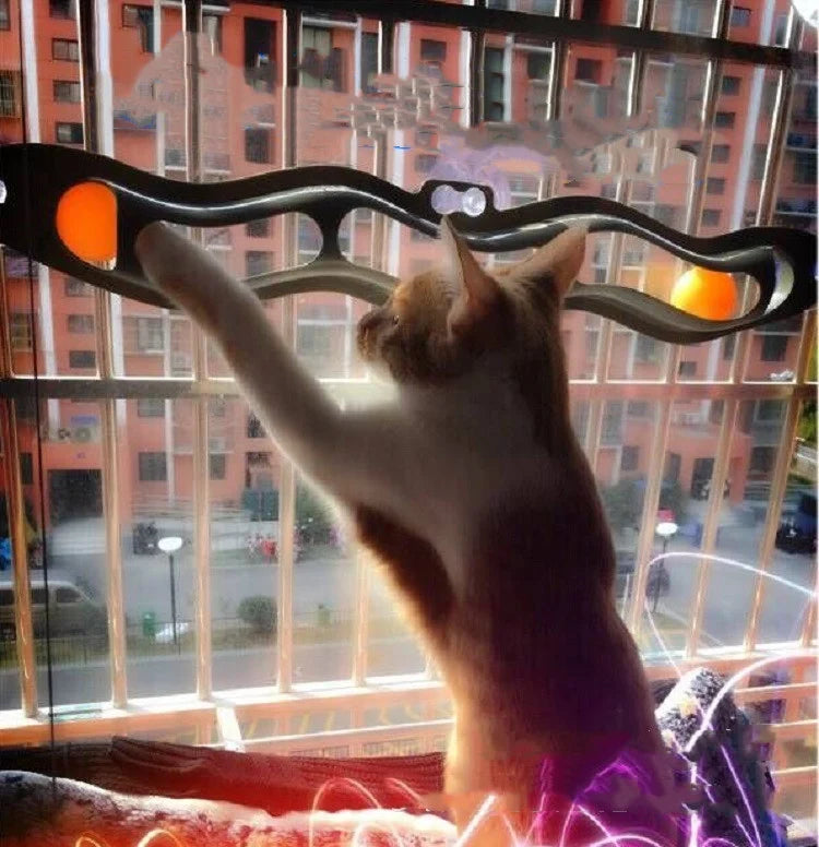 Cat playing with a window cat track ball toy