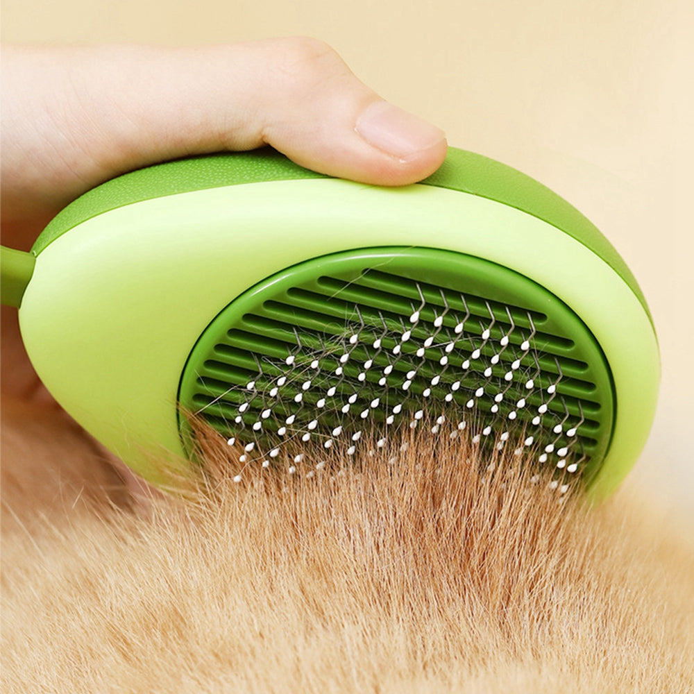 Brushing a cat with grooming brush