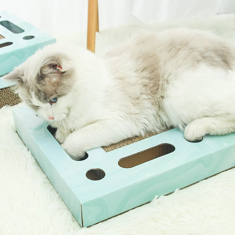 Cat using a large rectangular cat scratching board
