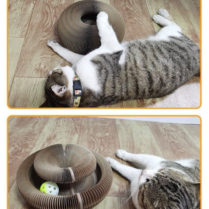 Cat resting beside a round corrugated paper cat scratcher