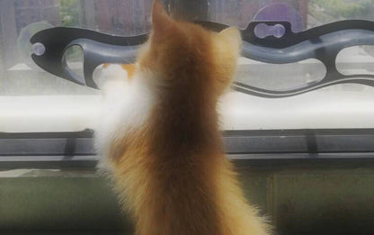 Cat interacting with a windowsill cat track ball toy