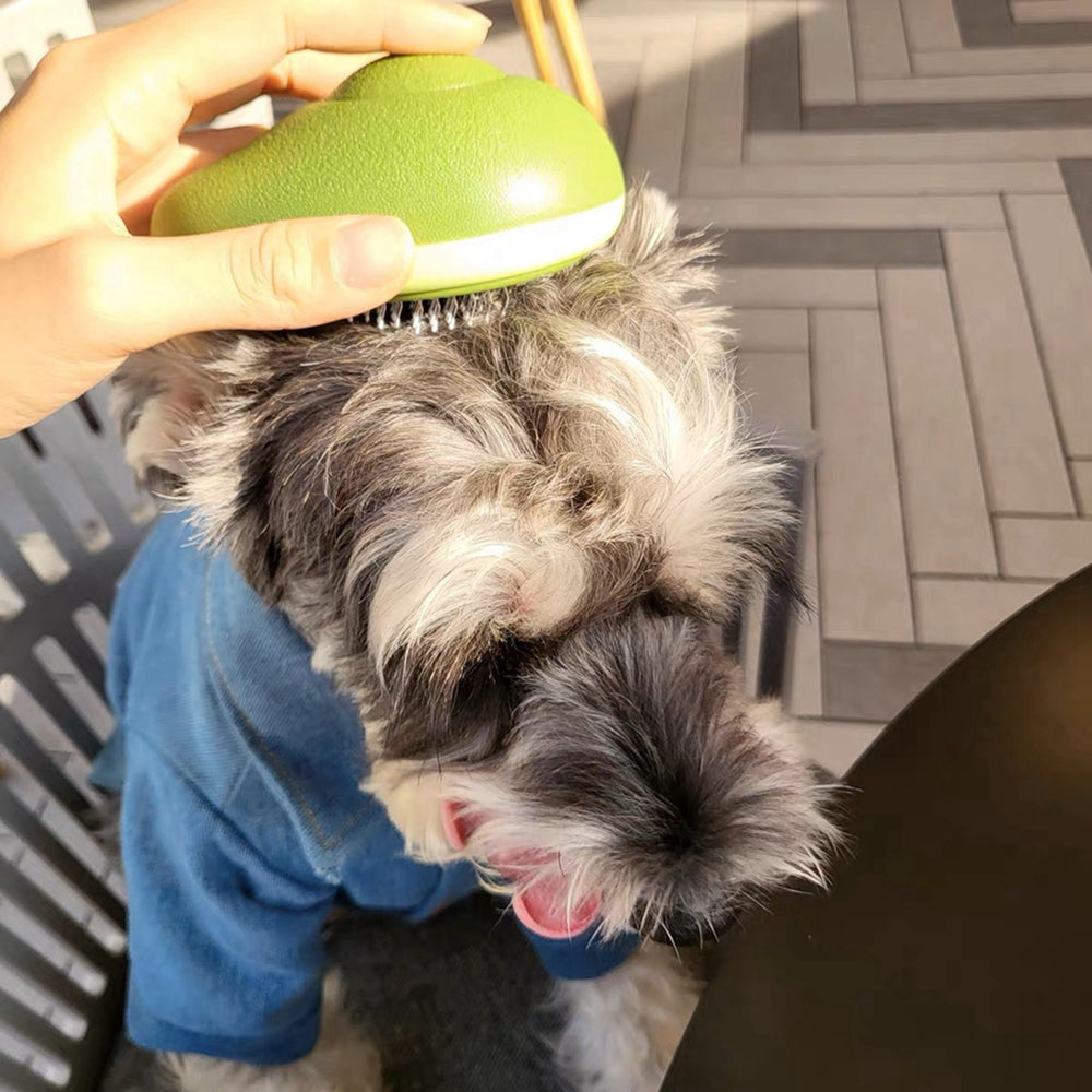 Pet grooming brush size detail