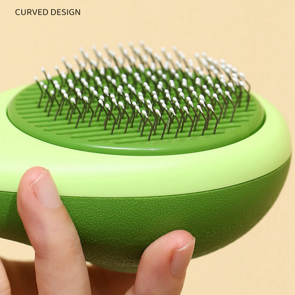 Rounded bristle tips close up